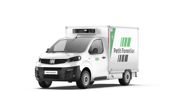 Fiat e-Scudo