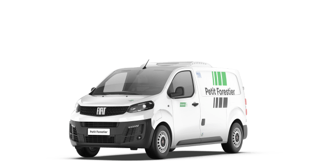 Fiat e-Scudo